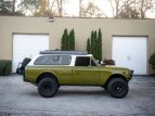 Thumbnail Photo 25 for 1977 International Harvester Scout